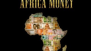 Wendy Shay - Africa Money