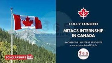 MITACS Globalink Research Internship in Canada
