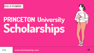 Princeton University Scholarships 2023 to Study free in New Jersey USA