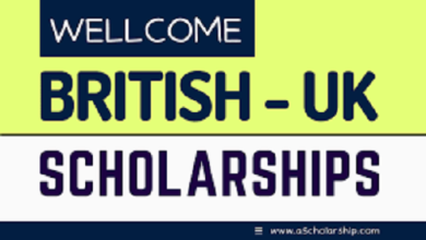 British Wellcome Scholarships 2024-2025 of £120,000 Worth of Free Degree in UK