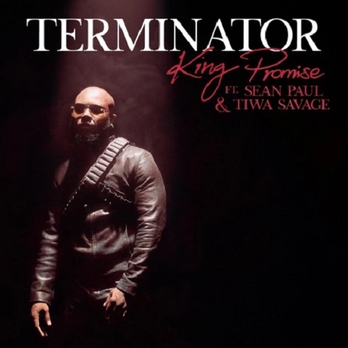 King Promise Terminator (Remix) Ft Sean Paul & Tiwa Savage