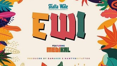 Shatta Wale Ft Medikal - Ewi (Thief)