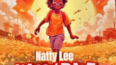 Natty Lee Happy Days